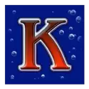 icon 9