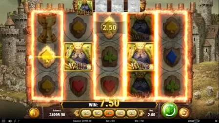 Feline Fury slot screenshot 3
