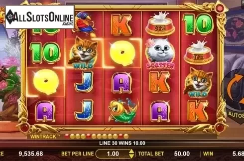 Win screen 2. Hungry Cats from Aspect Gaming