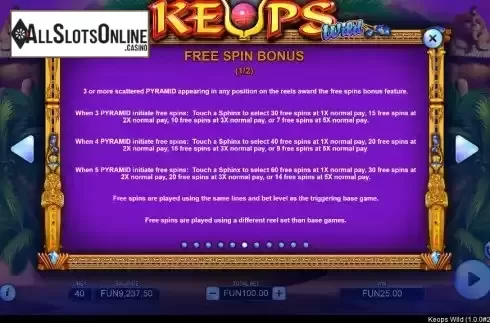 FS bonus screen