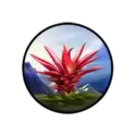 icon 6