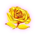 icon 4