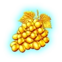 icon 5