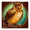 icon 4