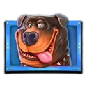 icon 1
