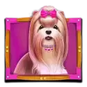 icon 2