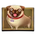 icon 3