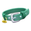 icon 5