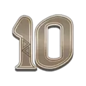 icon 10