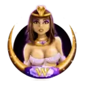 icon 1