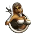 icon 5