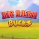 Big Barn Bucks