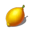 icon 7