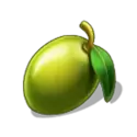 icon 5