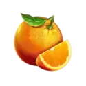 icon 5