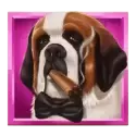 icon 2