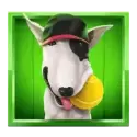 icon 3
