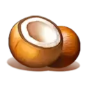 icon 4