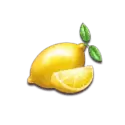 icon 5