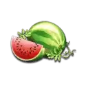 icon 6