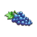 icon 9