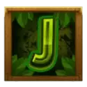 icon 10