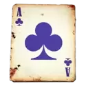 icon 13