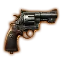 icon 9