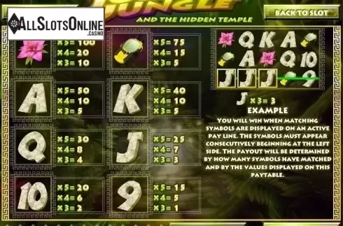 Paytable 1. Johnny Jungle from Rival Gaming