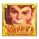 icon 1