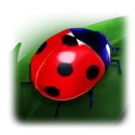 icon 3