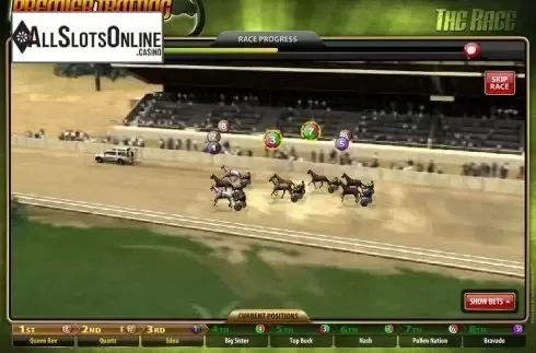 Screen 4. Premier Trotting from Microgaming