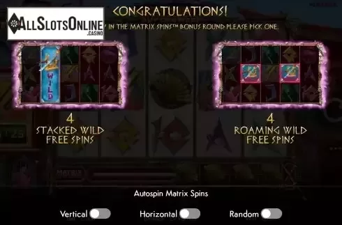 Matrix Spins