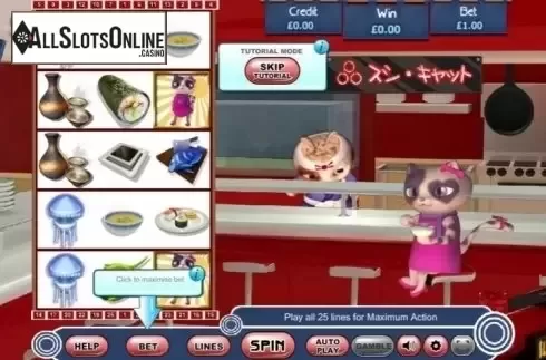 Reel Screen. Sushi Cat from Eyecon