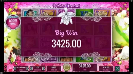White Orchid slot screenshot 4