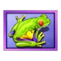 icon 5