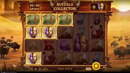Buffalo Collector slot screenshot 4