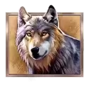 icon 4