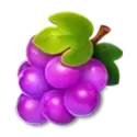 icon 4