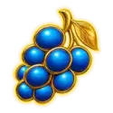 icon 5
