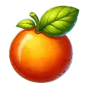 icon 6