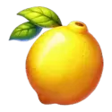 icon 7