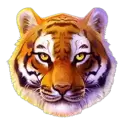 icon 10