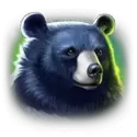 icon 3