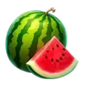 icon 6