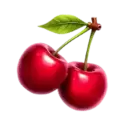 icon 10