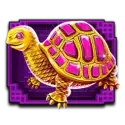 icon 5