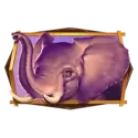 icon 3