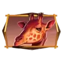 icon 5