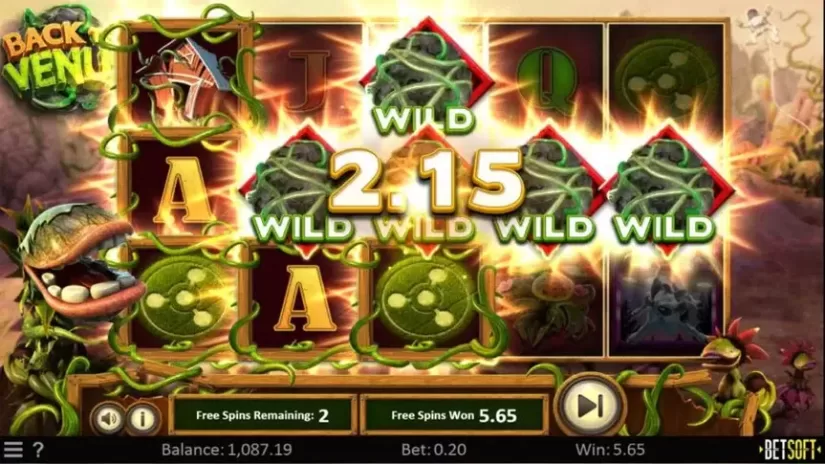 Back to Venus slot screenshot 4